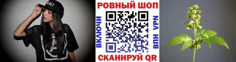 Где купить наркотики Электрогорск блэк спрут маркетплейс  COCAIN  А ПВП  Меф мяу мяу  Марихуана 