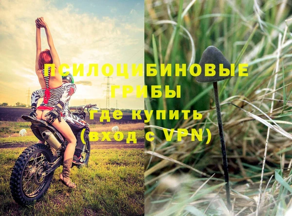 тгк Алексеевка